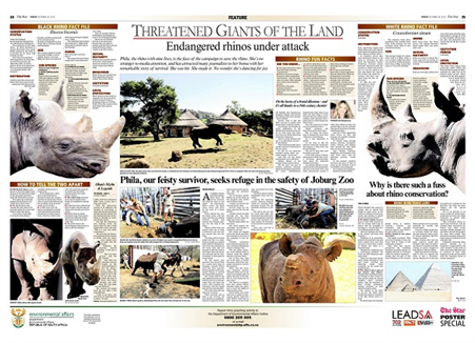 save the rhino